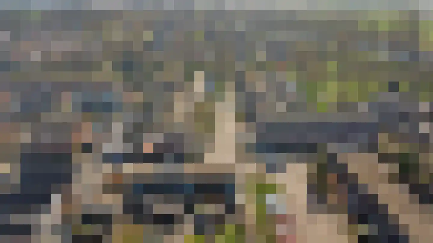 De Ibis 4 Almelo thumbnail 4