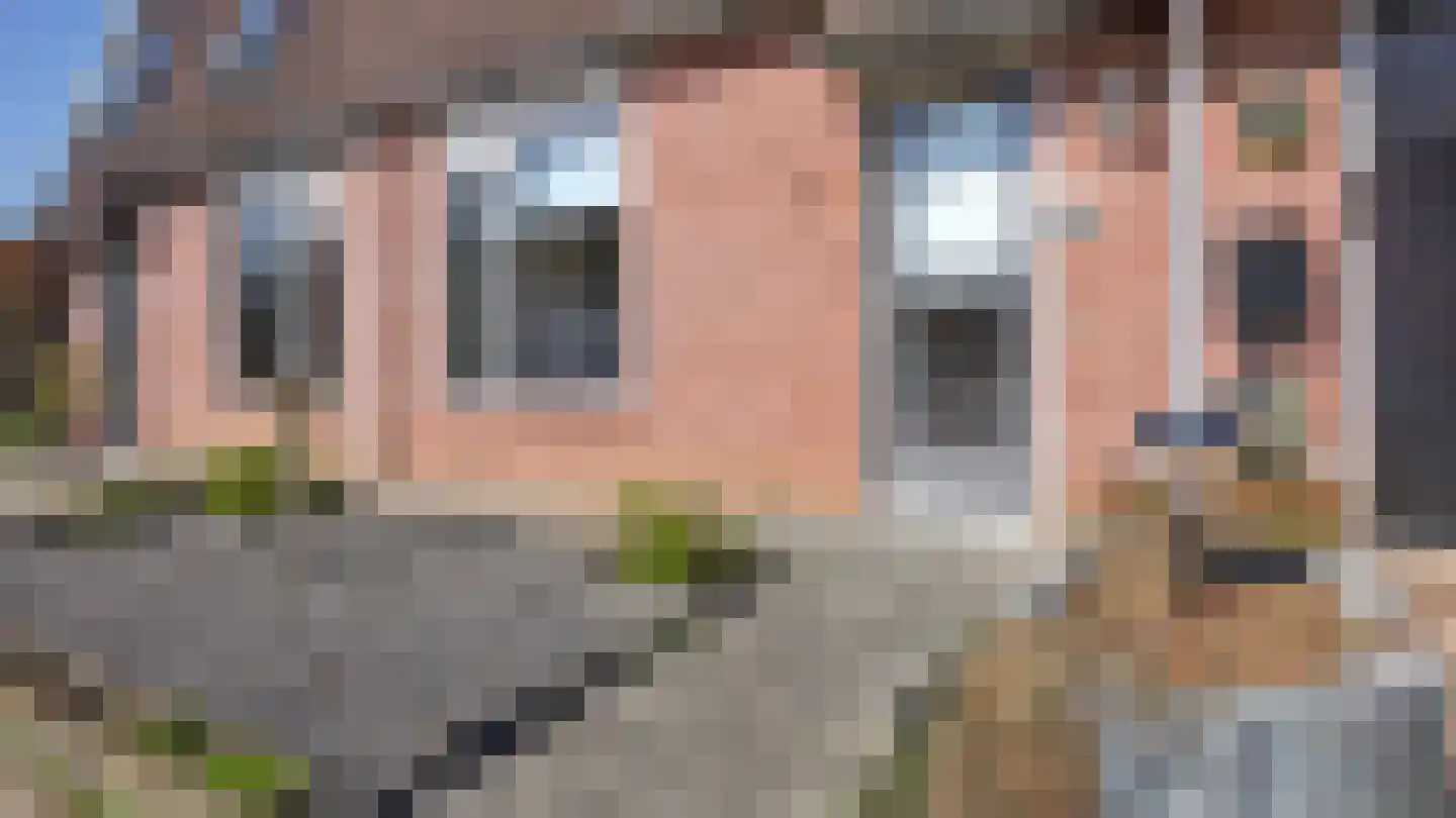 De Ibis 4 Almelo thumbnail 5