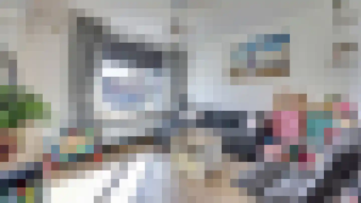 De Ibis 4 Almelo thumbnail 7