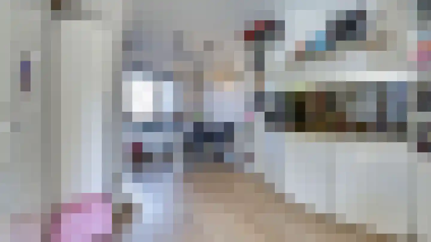 De Ibis 4 Almelo thumbnail 9