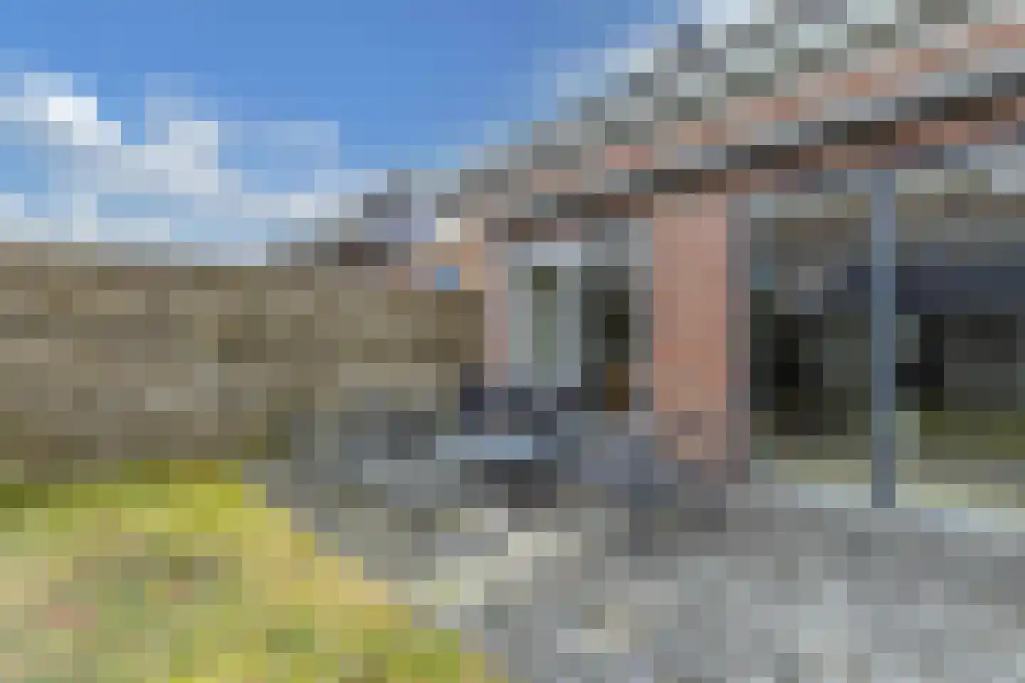 De Ielreager 63 Bolsward thumbnail 20