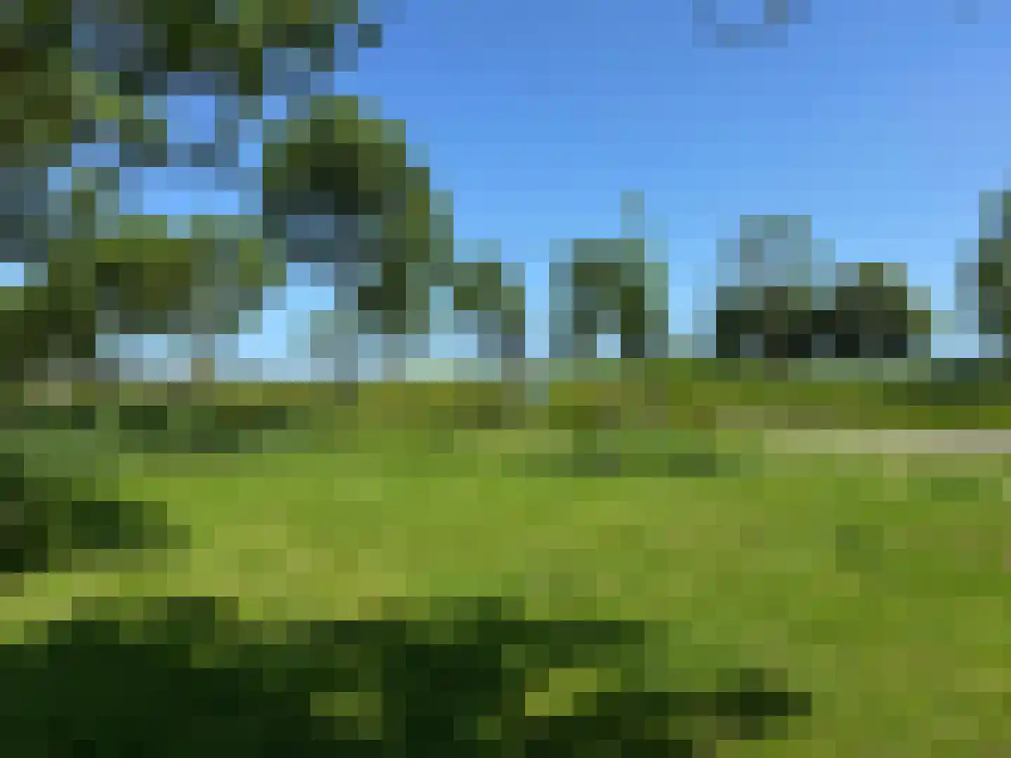 De Ielreager 63 Bolsward thumbnail 40