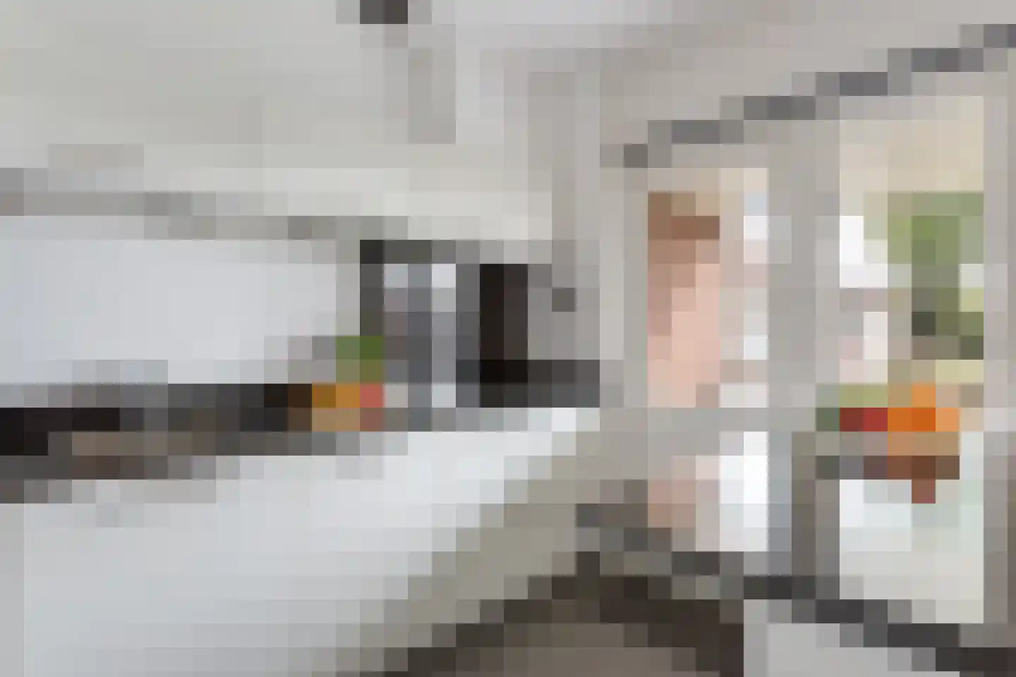 de Iemker 11 Rossum thumbnail 10