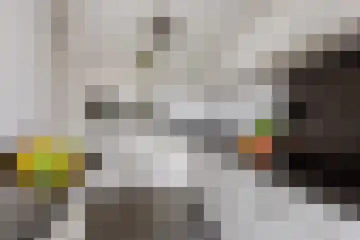 de Iemker 11 Rossum thumbnail 11