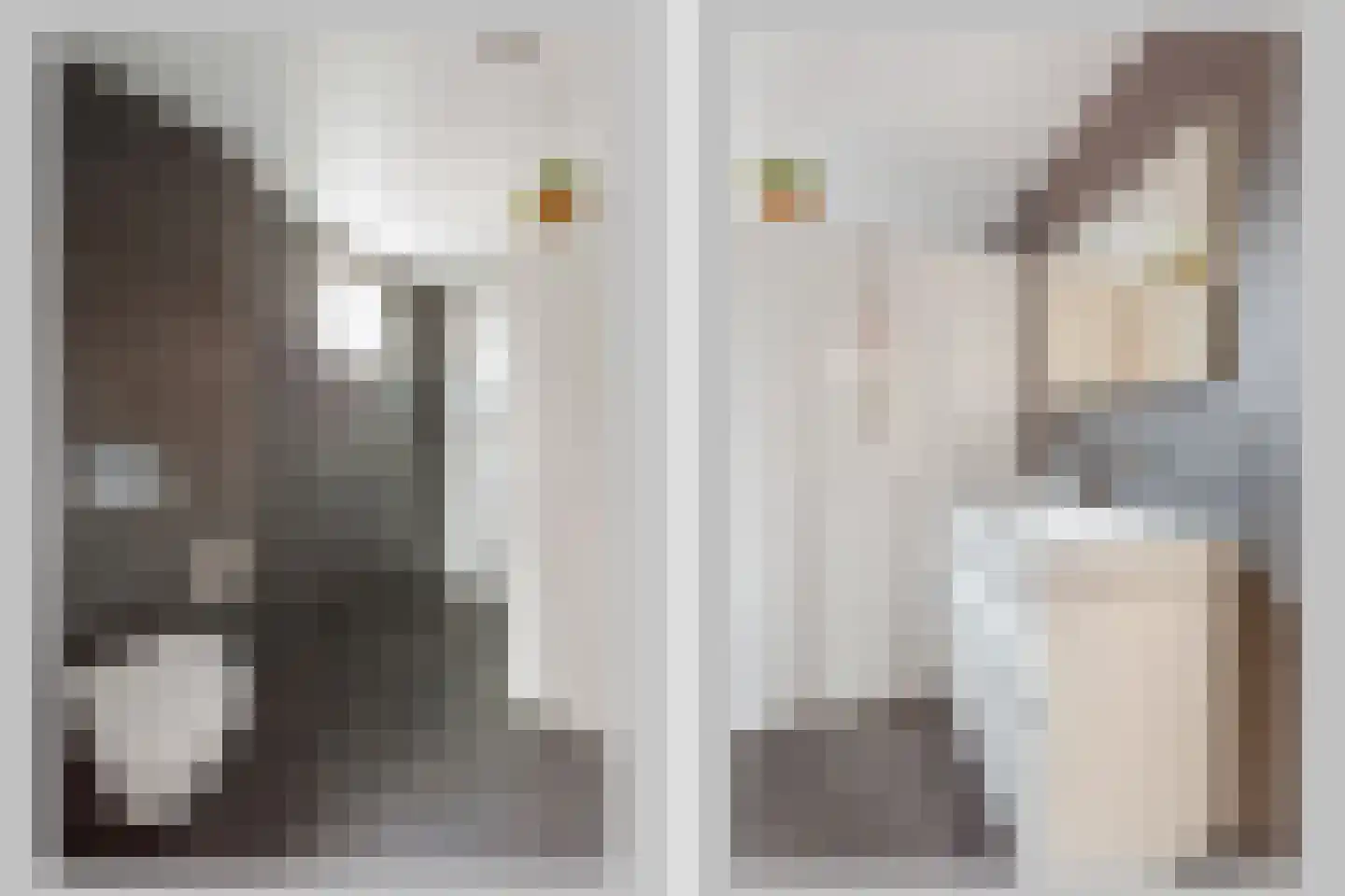 de Iemker 11 Rossum thumbnail 12