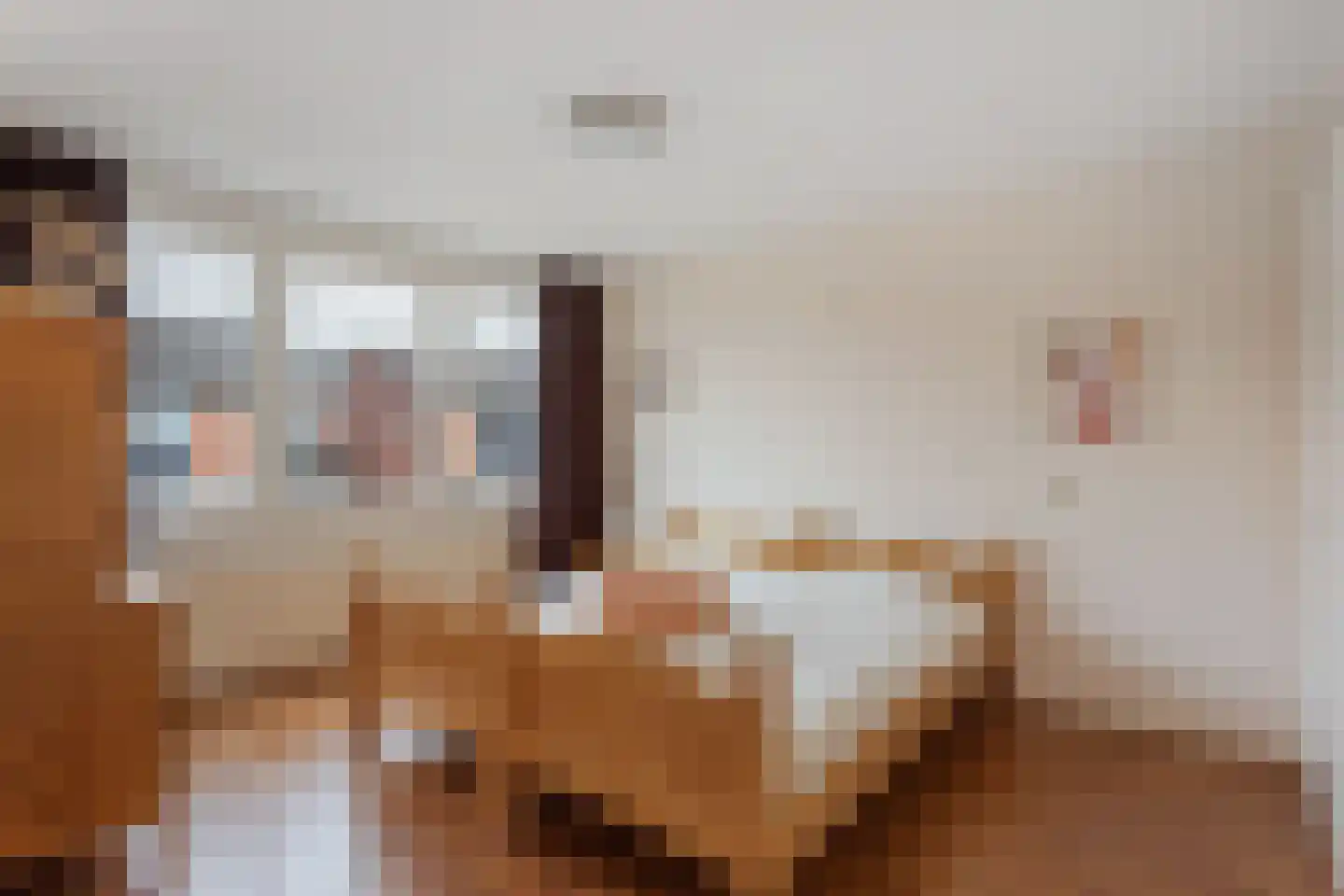 de Iemker 11 Rossum thumbnail 14