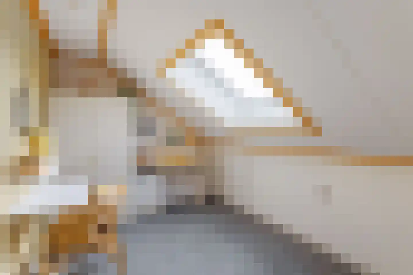 de Iemker 11 Rossum thumbnail 16