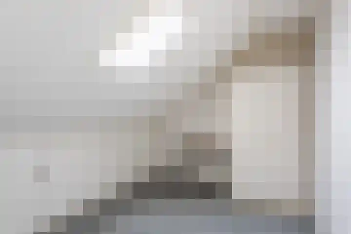de Iemker 11 Rossum thumbnail 17