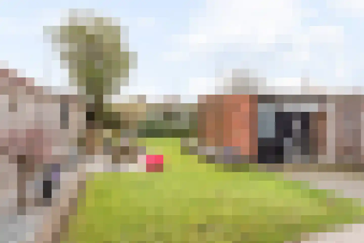 de Iemker 11 Rossum thumbnail 20