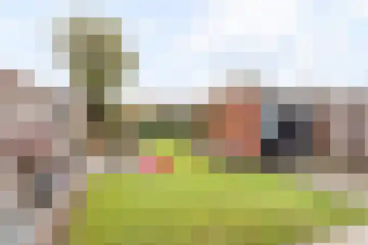 de Iemker 11 Rossum thumbnail 20