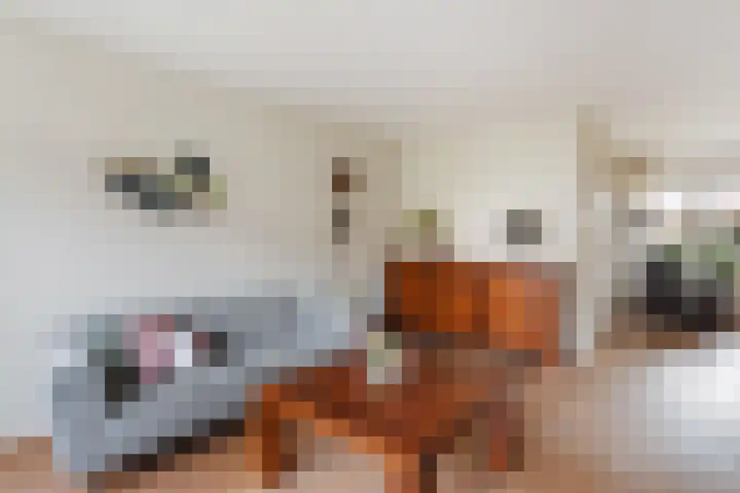 de Iemker 11 Rossum thumbnail 7