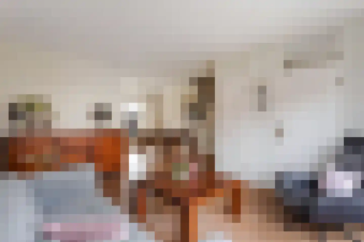 de Iemker 11 Rossum thumbnail 8