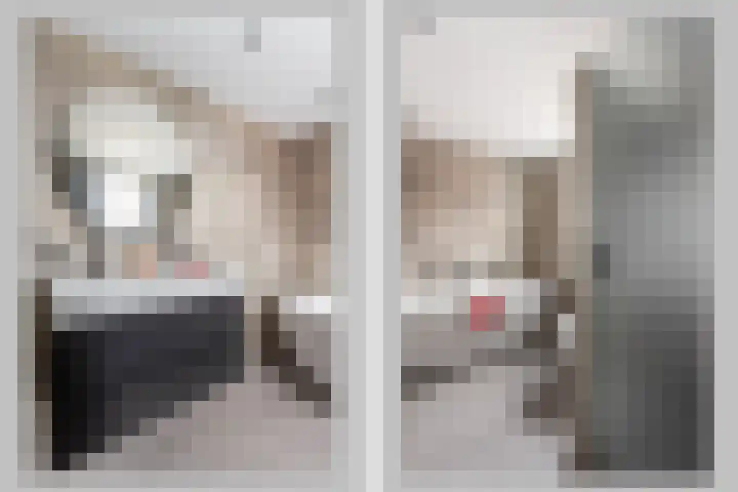 de Iemker 4 Rossum thumbnail 12