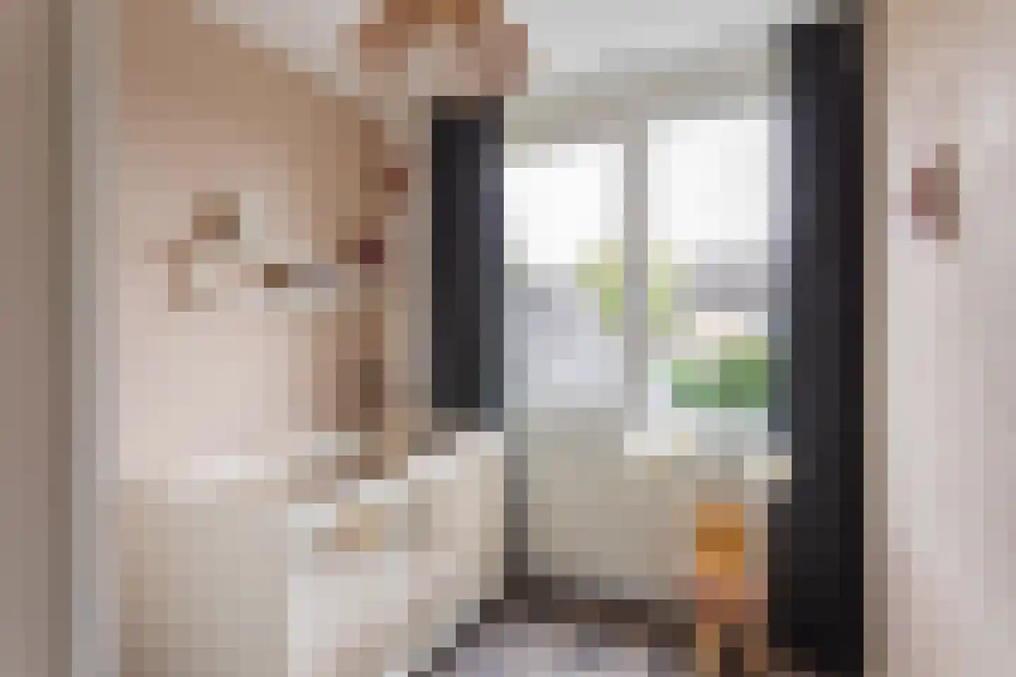de Iemker 4 Rossum thumbnail 15
