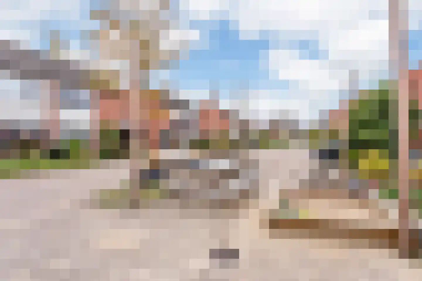 de Iemker 4 Rossum thumbnail 20