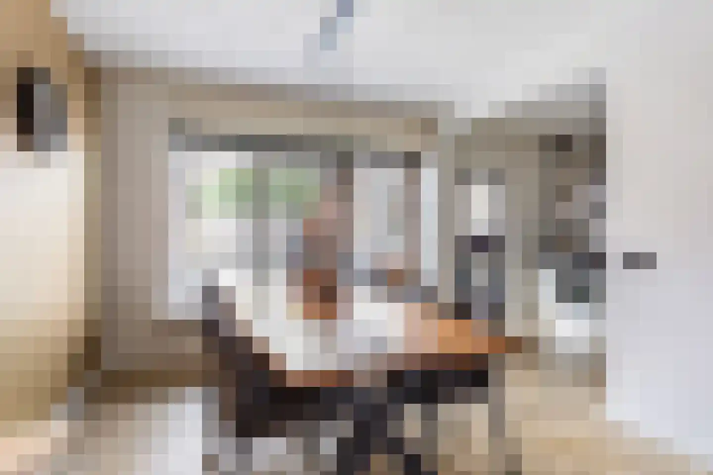 de Iemker 4 Rossum thumbnail 9