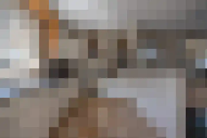 De Iennen 13 Surhuizum thumbnail 10