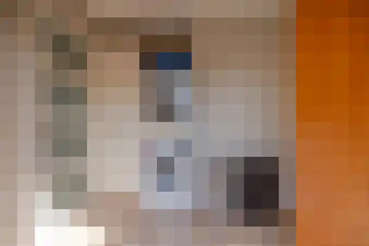 De Iennen 13 Surhuizum thumbnail 12
