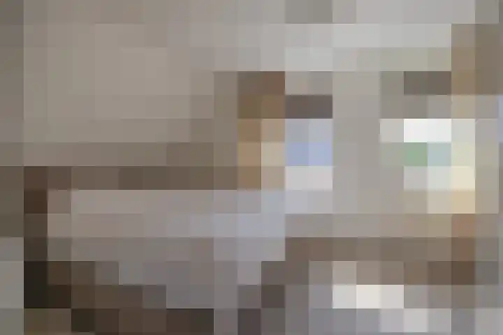 De Iennen 13 Surhuizum thumbnail 14
