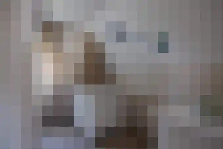 De Iennen 13 Surhuizum thumbnail 18