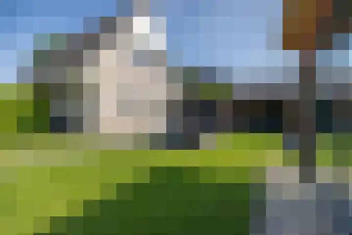 De Iennen 13 Surhuizum thumbnail 27
