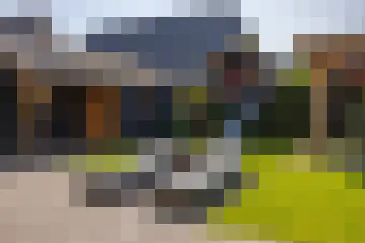 De Iennen 13 Surhuizum thumbnail 28