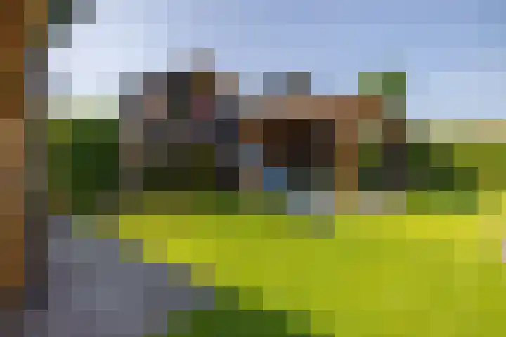 De Iennen 13 Surhuizum thumbnail 30