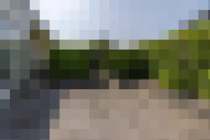 De Iennen 13 Surhuizum thumbnail 36