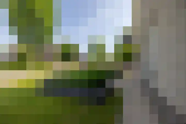 De Iennen 13 Surhuizum thumbnail 37