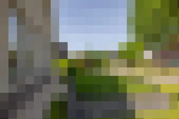 De Iennen 13 Surhuizum thumbnail 38