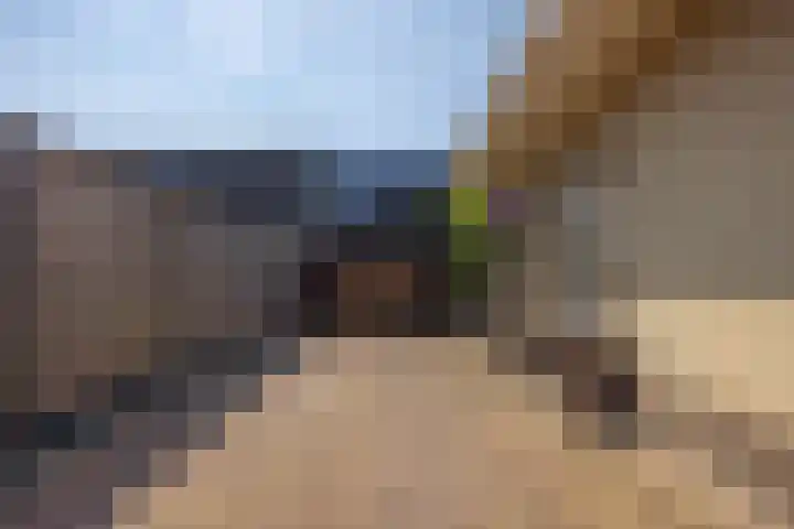 De Iennen 13 Surhuizum thumbnail 39