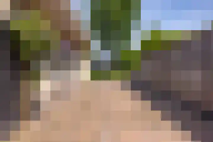 De Iennen 13 Surhuizum thumbnail 40
