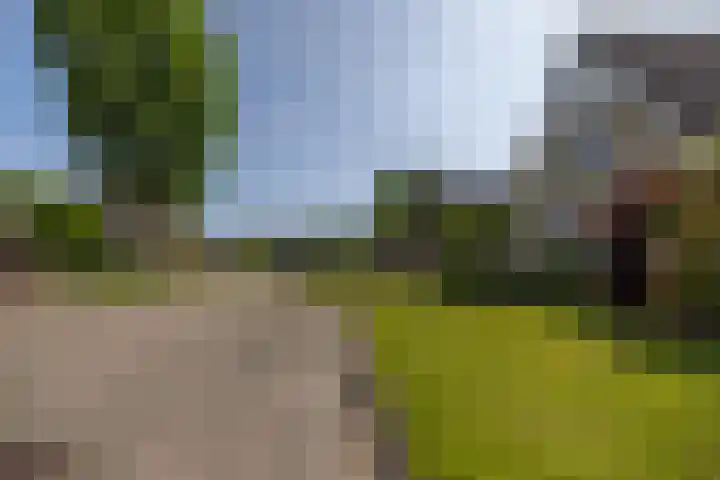De Iennen 13 Surhuizum thumbnail 43