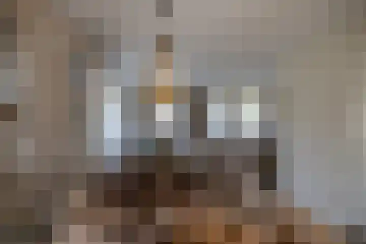 De Iennen 13 Surhuizum thumbnail 8