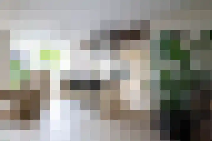 de Iep 1 Hellevoetsluis thumbnail 12