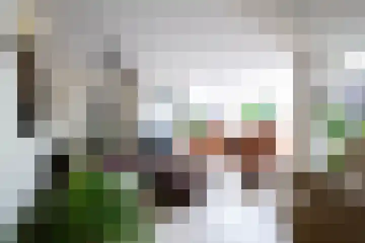 de Iep 1 Hellevoetsluis thumbnail 14