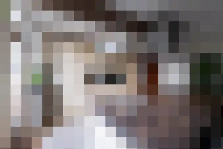 de Iep 1 Hellevoetsluis thumbnail 22