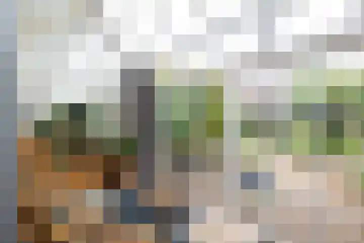 de Iep 1 Hellevoetsluis thumbnail 26
