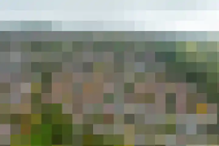 de Iep 1 Hellevoetsluis thumbnail 4
