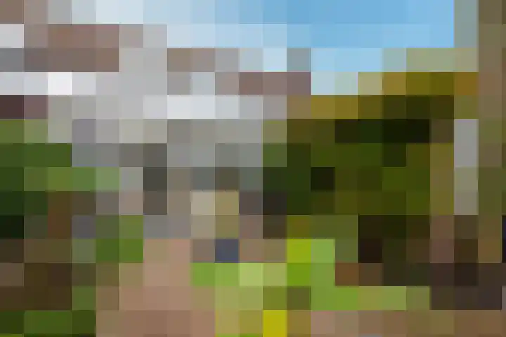 de Iep 1 Hellevoetsluis thumbnail 43