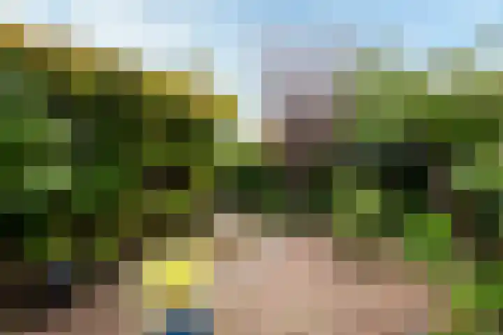 de Iep 1 Hellevoetsluis thumbnail 46