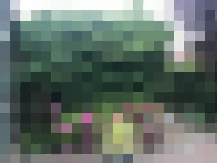 de Iep 1 Hellevoetsluis thumbnail 49