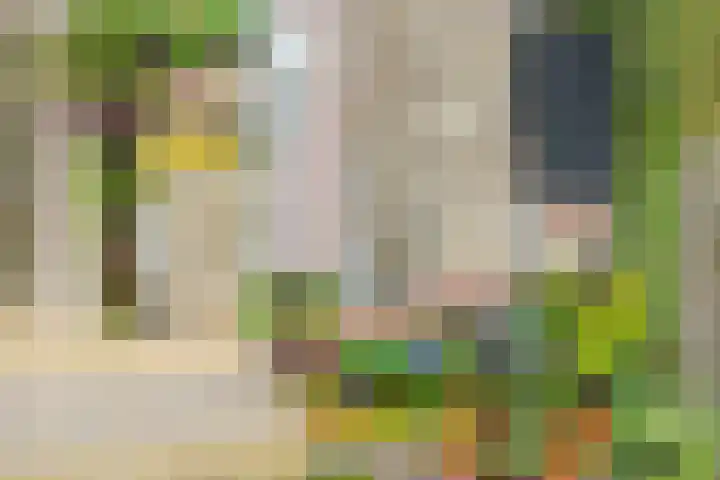de Iep 1 Hellevoetsluis thumbnail 5