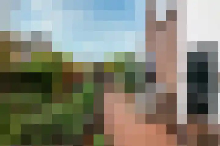 de Iep 1 Hellevoetsluis thumbnail 6
