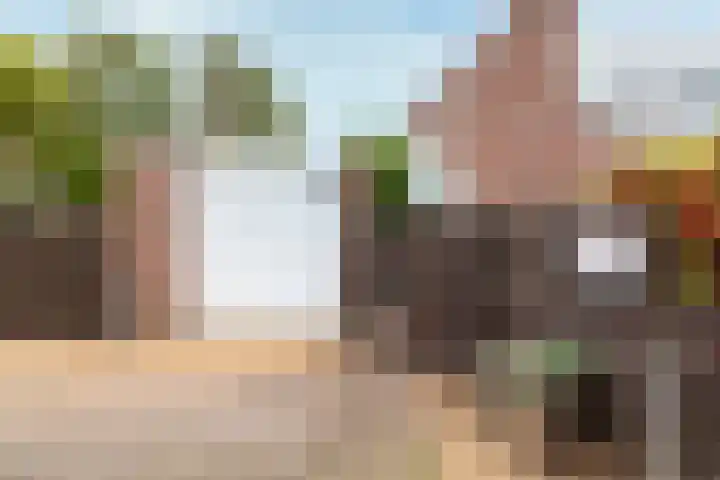 de Iep 1 Hellevoetsluis thumbnail 8