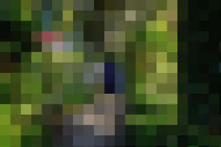 de Iep 19 Hellevoetsluis thumbnail 10