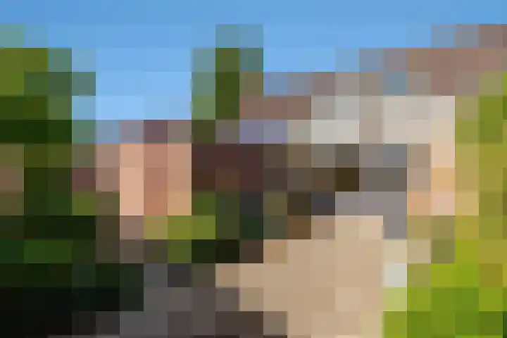 de Iep 19 Hellevoetsluis thumbnail 25