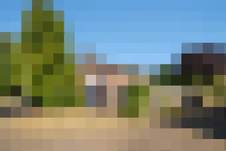 de Iep 19 Hellevoetsluis thumbnail 46