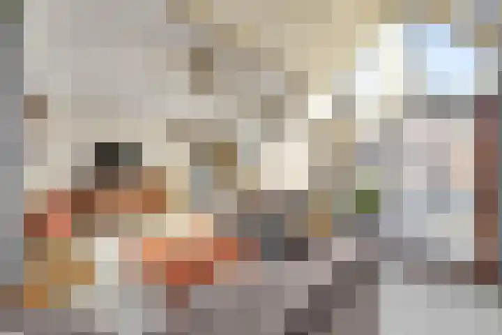 de Iep 19 Hellevoetsluis thumbnail 5
