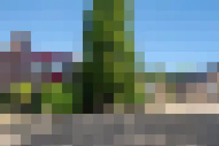 de Iep 19 Hellevoetsluis thumbnail 9